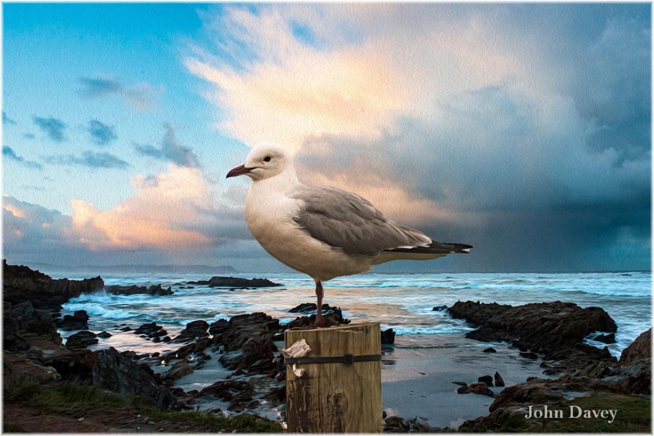 Twentyfour 17 Inn Hermanus Luaran gambar